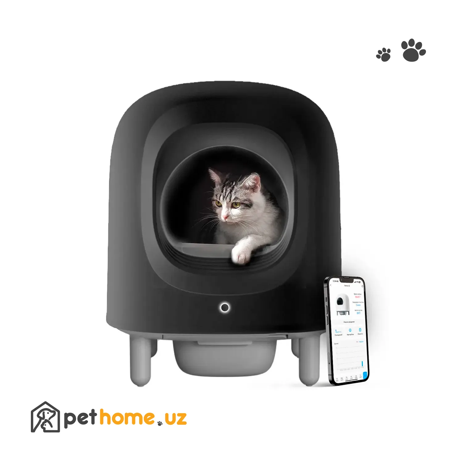 Pethome2