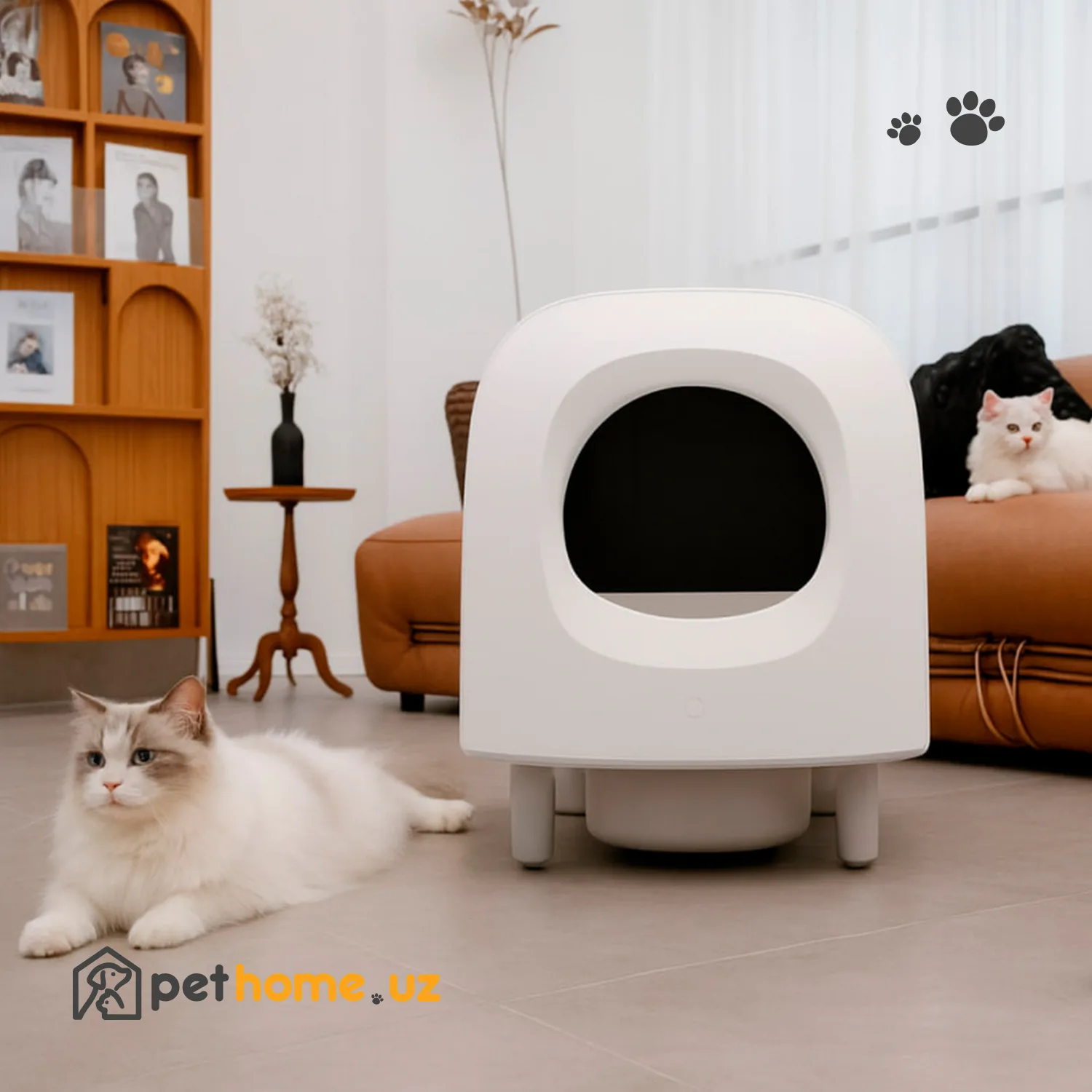Pethome3